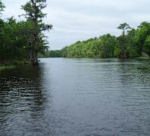 Schöner Bayou