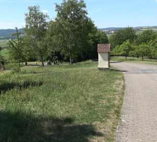 Früchtetrauf - Wurmlinger Kapellenwegle