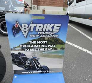 Anbieter steht vor dem Kreuzfahrtterminal