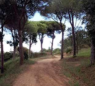Stadtrundgang Castell-Platja d’Aro