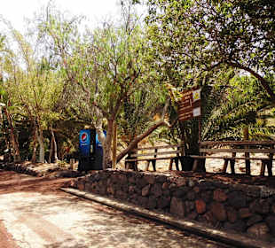 Oasispark - Kakteenpark - Juli 2016