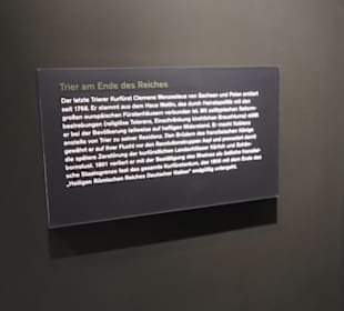 Rheinisches Landesmuseum