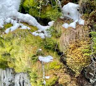 Wandern Schladming