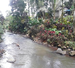 Harni's Plantation