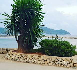 Strandpromenade Cala Millor