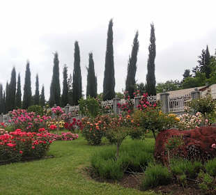 Stare miasto Tbilisi