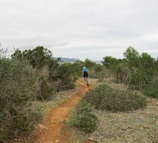 Biking Cala Millor