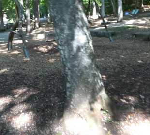 Wanderparkplatz Nebelhöhle