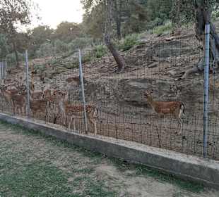 Wandern Limenas Thasou