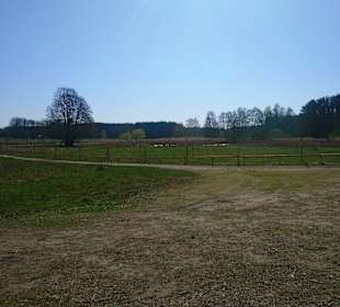 Wildpark Schorfheide