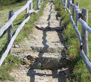 Der Beginn der Wanderung