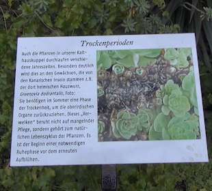 Botanischer Garten