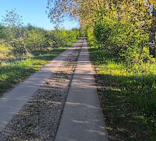 Gartenanlage