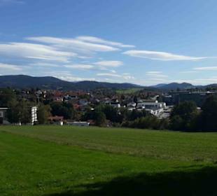 Blick auf Viechtach vom Pfahl