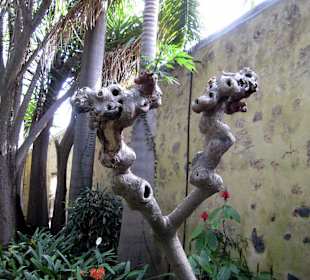 Wir werden beobachtet!