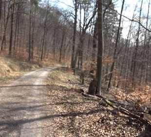 Geologischer Lehrpfad Kirnbachtal