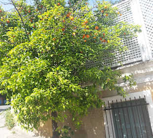 Monastiraki