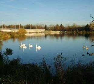Blick über den Stausee