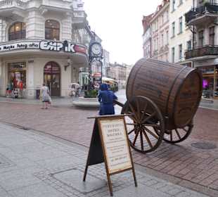 Na ulicach Starego Miasta