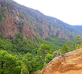 Traumhafte Landschaft