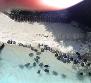 Mundomar Juillet 2011