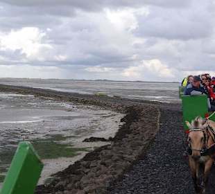 Auf Südfall angekommen