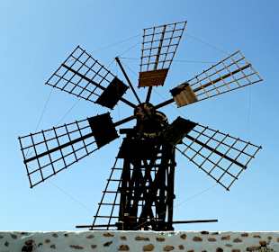 Inselrundfahrt Tagesausflug