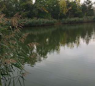 Der See