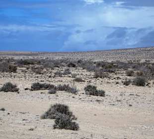 Eindrücke von der Wanderung durch den Istmo