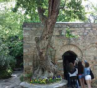 The House of the Virgin Mary, vicinity of Ephesus.