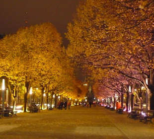 Unter den linden na festiwalu świateł