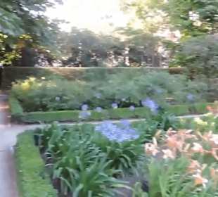 Real Jardín Botánico de Madrid