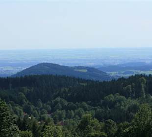 Sommerrodelbahn in Sankt Englmar