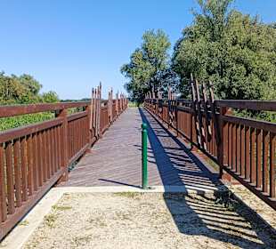 Die Brücke von Andau