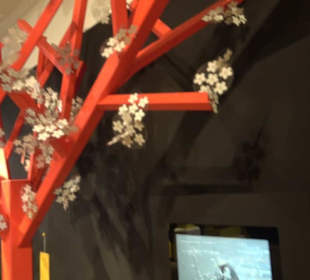 Museum Natur und Mensch