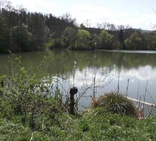 Sport- und Freizeitpark Markwasen
