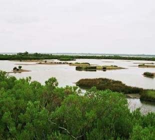 Vogelschutzgebiet am Bassin d'Arcachon