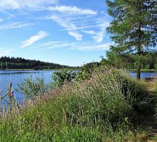 Eindrücke vom Rundgang um den Fichtelsee