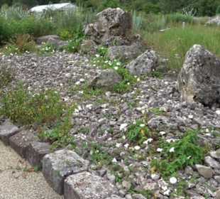 ALB-GOLD Naturgarten