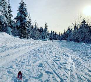 Wandern Seewald