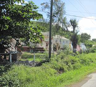 Auf dem Fig Tree Drive - Antigua