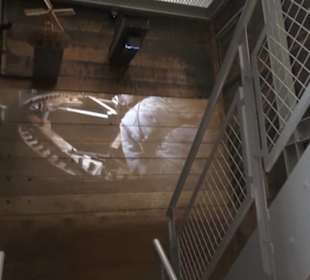 Mühle Tiefenbrunnen