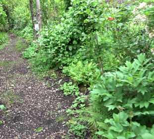 Mezger's Bürgle Park