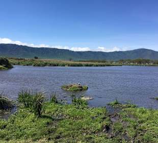 Lake Manyara 