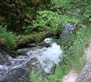 Wasserfälle Allerheiligen