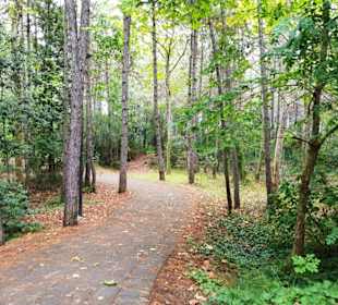 Der hintere Teil vom Café