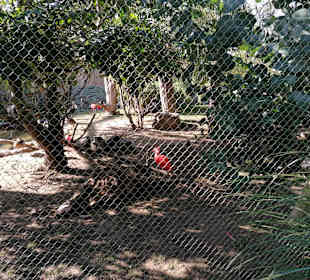 Zoologischer Garten Prag