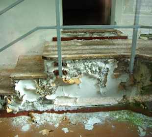 Der Plöckenpass 06-2011