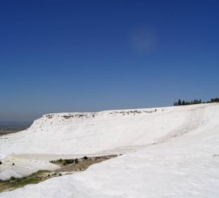 Pamucale