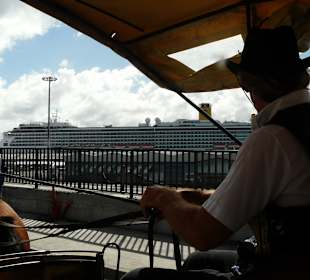 Stadtrundfahrt mit dem Pferdewagen